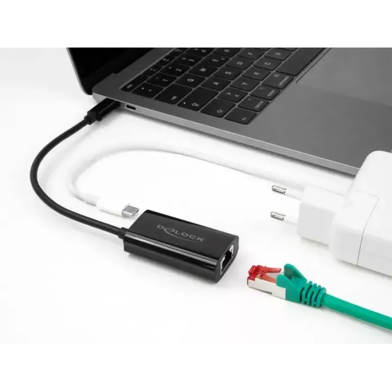 DeLOCK 61026 kabeļa dzimuma pārveidotājs USB C RJ45 melns