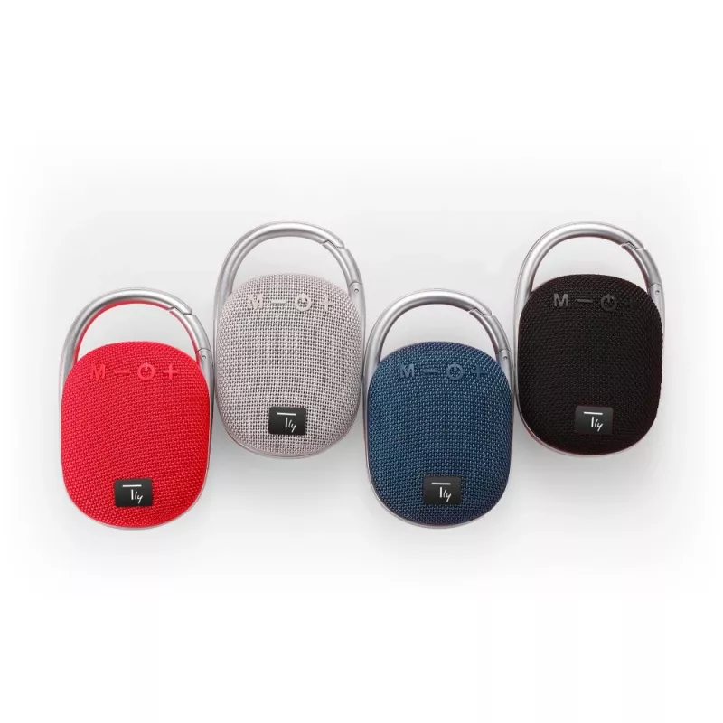 Techly ICASBL321GR pārnēsājamais/ballīšu skaļrunis Mono portatīvais skaļrunis Pelēks 5 W