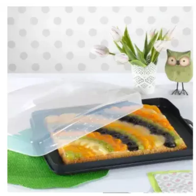 Hama 00111497 pārtikas servēšanas paplāte Taisnstūrveida Melna, caurspīdīga