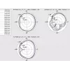 Daudzvirzienu antena DeLOCK 12408