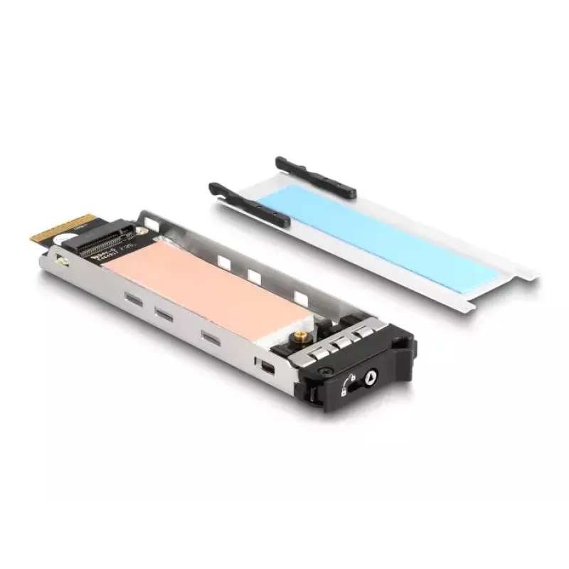 DeLOCK mobilais nodalījums PCI Express karte 1 x M.2 NVMe SSD Low Profile