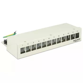 Plākstera panelis DeLOCK 43335