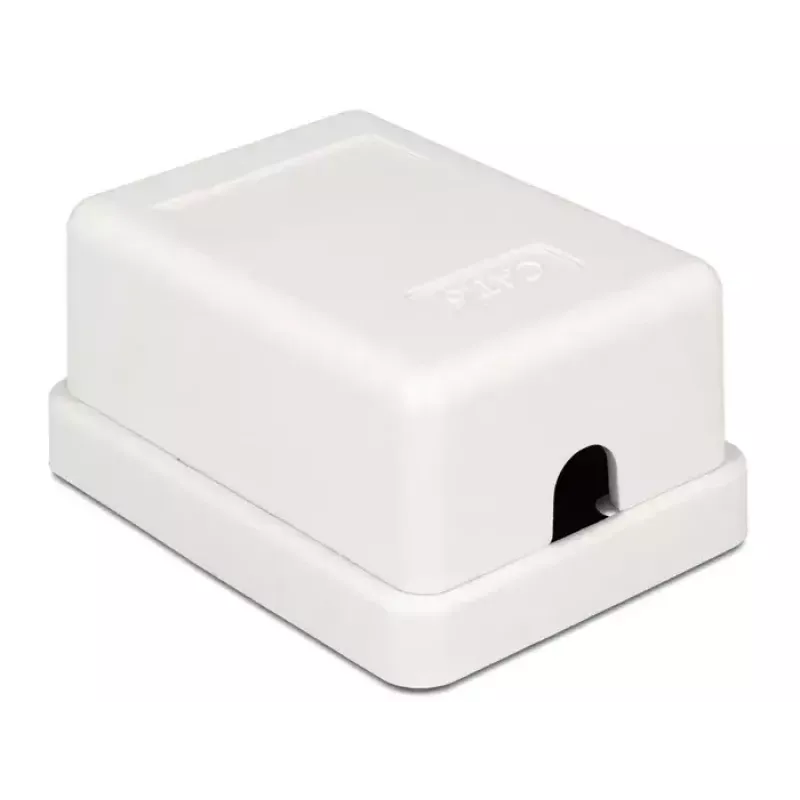 Izvades kārba DeLOCK 86248 Balta 52 mm × 25,5 mm × 39 mm