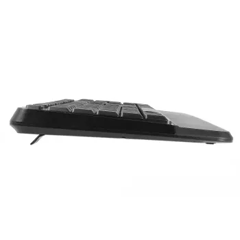 Tastatūra ar peli iekļauta DeLOCK 12674 Universāla RF bezvadu QWERTZ vācu melna