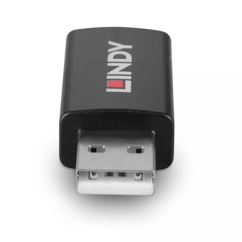 Lindy 71263 savienotāju adapteris USB Type A melns