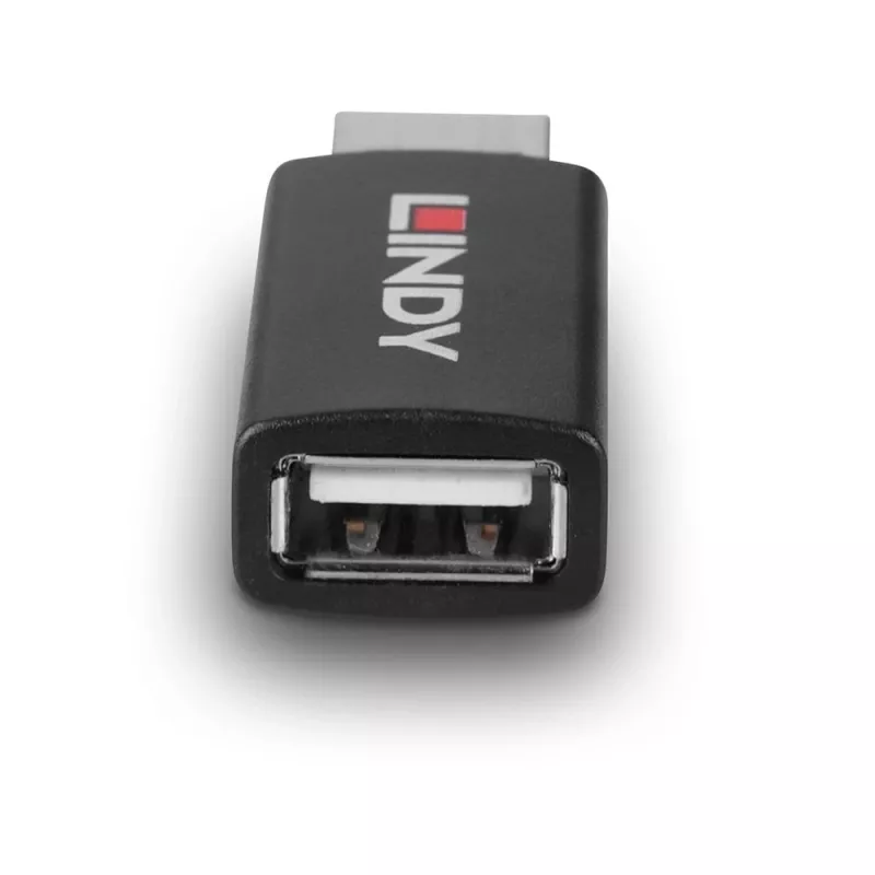 Lindy 71263 savienotāju adapteris USB Type A melns