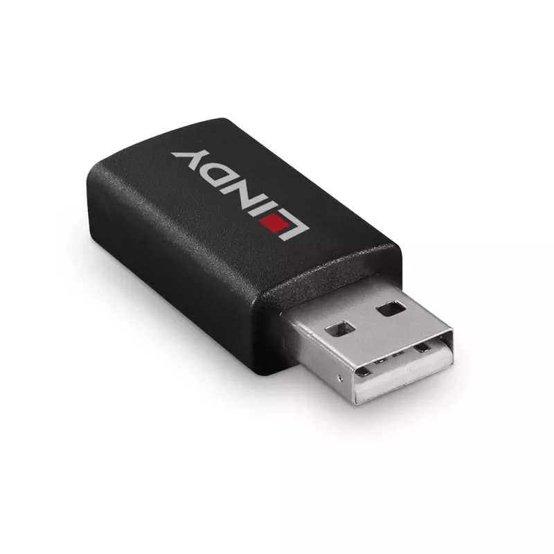 Lindy 71263 savienotāju adapteris USB Type A melns