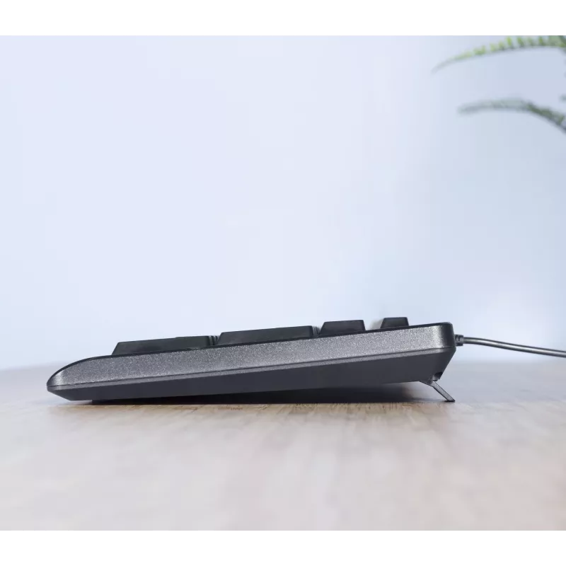 Trust TKM-250 tastatūra ar peli iekļauta Biroja USB QWERTZ vācu melna