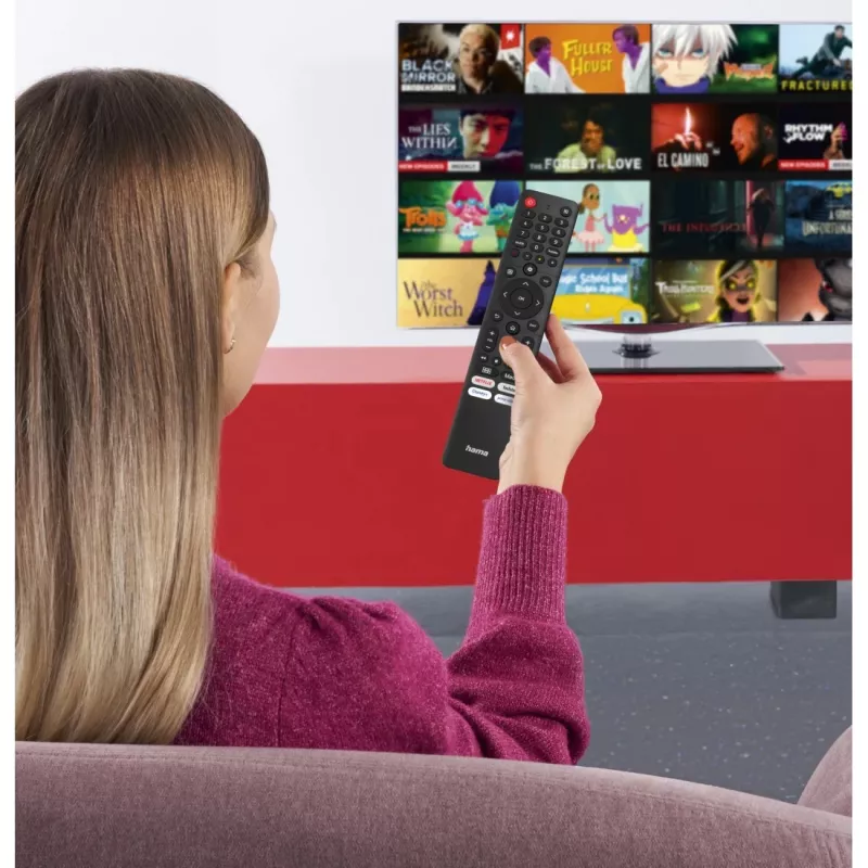 Hama 00221067 tālvadības pults IR Wireless TV spiedpogas