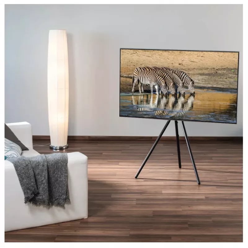 Hama 00220870 TV sienas statīvs/statīvs 190.5 cm (75 collas) Melns