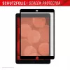 Papīram līdzīgs ekrāna aizsargs Displex TABLET PAPERSENSE planšetdatoriem iPad 7/8/9 Gen. un iPad Air 3, matēts 10,5 collas (26,7 cm), 3H, noņemams