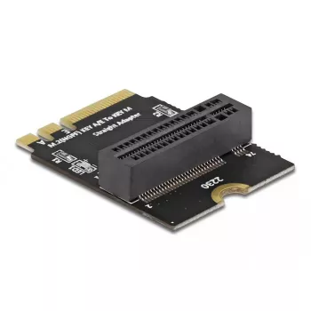 Adapter M.2 key A+E male to key M slot leņķveida with holder DeLOCK 64137