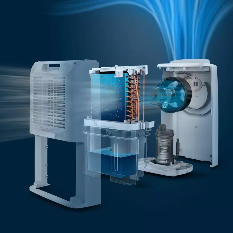 Philips 3000 series DE3306/11 sausinātājs 4 L 51 dB Balta, Gaiši pelēka