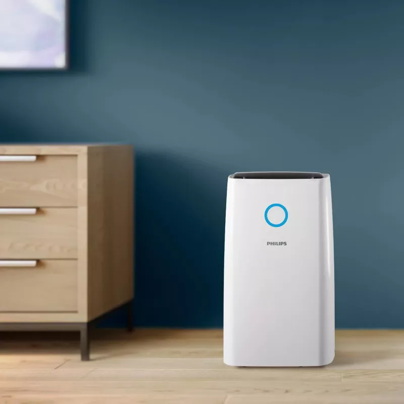 Philips 3000 series DE3306/11 sausinātājs 4 L 51 dB Balta, Gaiši pelēka