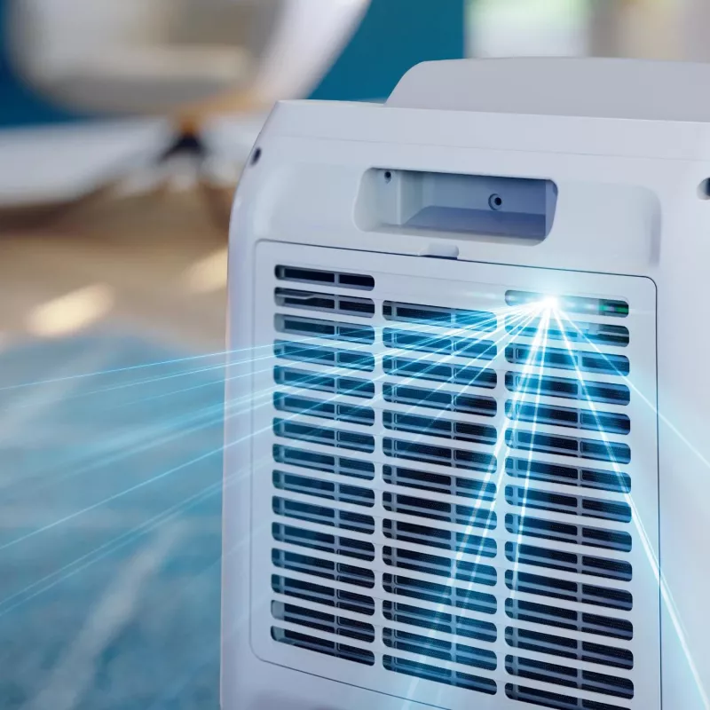 Philips 3000 series DE3306/11 sausinātājs 4 L 51 dB Balta, Gaiši pelēka