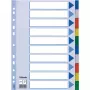 Esselte Divider PP A4 tukša cilnes indeksa daudzkrāsu 225x297mm