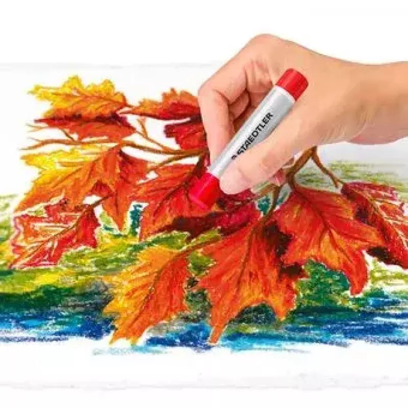 Eļļas pasteļi Staedtler 2420 Daudzkrāsains 24 gab.