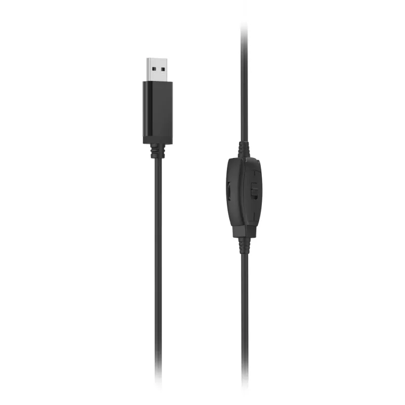 Hama HS-USB250 V2 austiņas ar vadu, galvas lentes stiprinājums, birojam/zvanu centram, USB Type-A, melnas