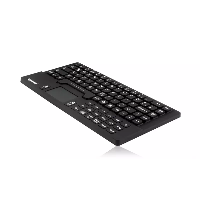 KeySonic KSK-5031IN (UK) tastatūra Universāla USB QWERTY UK angļu valodā Melna