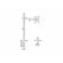 Equip 17 inch-32 inch regulējams monitora galda kronšteins, balts