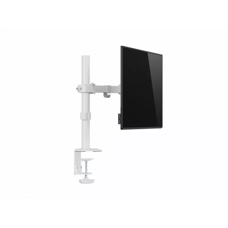 Equip 17 inch-32 inch regulējams monitora galda kronšteins, balts