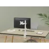 Equip 17 inch-32 inch regulējams monitora galda kronšteins, balts