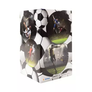 Pildspalvu/zīmuļu turētājs HERMA Stifteköcher Fussball 19732