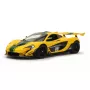 Šosejas sacīkšu auto Jamara McLaren P1 GTR