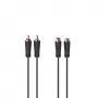 Hama 00205095 audio kabelis 5 m 2 x RCA melns