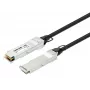 Intellinet 2m 40G QSFP+ pasīvais tiešas pievienošanas vara Twinax kabelis 30AWG MSA QSFP-H40G-CU2M saderīgs