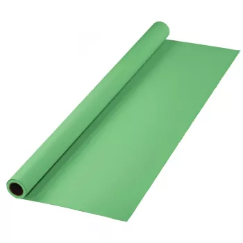 Fona Ekrāns Hama 00021534 Zaļš 11000mm x 2750mm