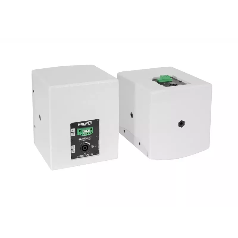 Pilna diapazona skaļrunis Omnitronic MOLLY-6 Balts Vadu 130 W