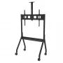 Peerless Paramount 190,5 cm (75 collu) grīdas statīvs melnā krāsā
