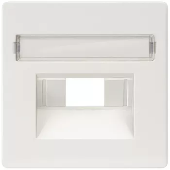 Siemens 5TG2546 sienas plāksne / slēdža vāks