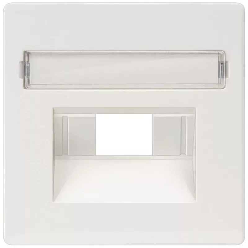Siemens 5TG2546 sienas plāksne / slēdža vāks