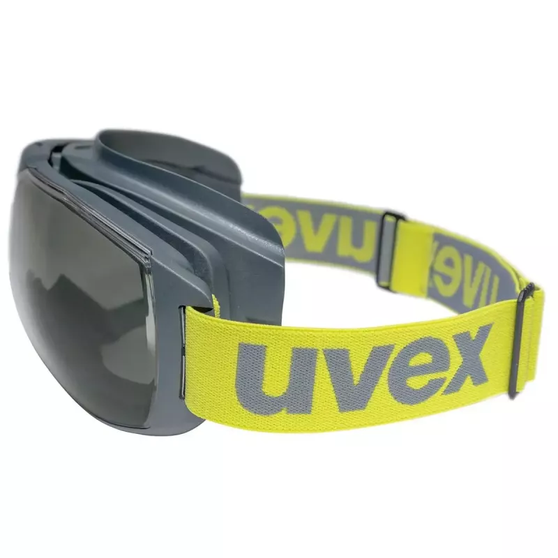 Drošības brilles Uvex 9320281 Antracīta Laima