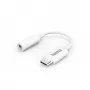 Hama 00201524 audio kabelis USB C uz 3,5 mm, balts
