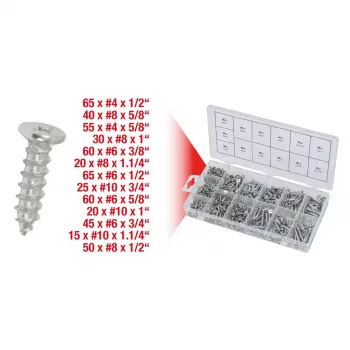 Skrūvju/skrūvju komplekts KS Tools 970.0430