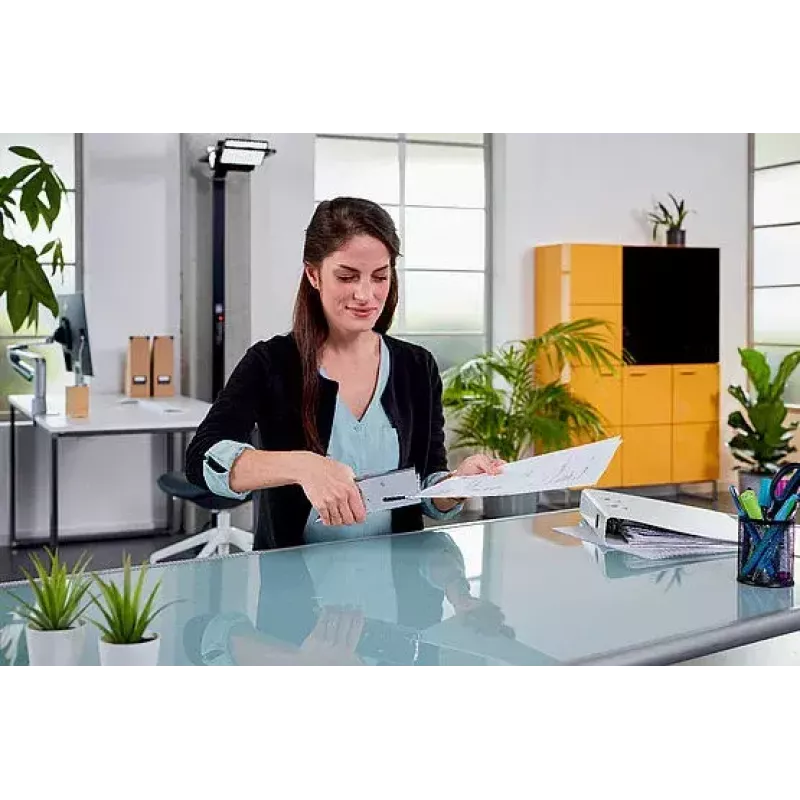 Skavotājs Novus B 39 Chrome pelēka