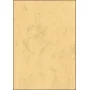 Mākslas papīrs Sigel DP262 100 loksnes smilšbrūns 90 g/m²