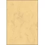 Mākslas papīra loksnes Sigel DP553 50 loksnes bēšs 200 g/m²