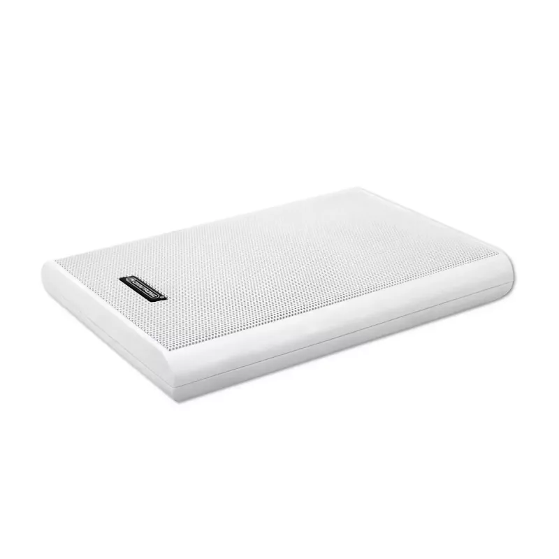 Divjoslu skaļrunis Omnitronic 80710550 Balts Vadu 20 W