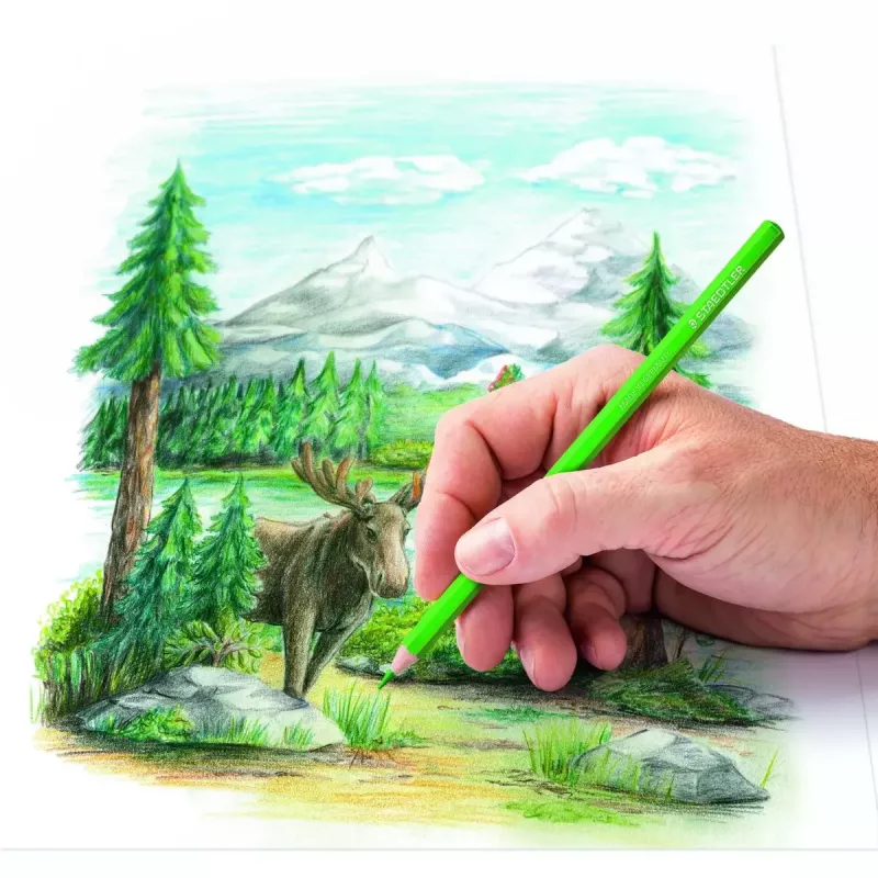 Krāsainie zīmuļi Staedtler 146C Daudzkrāsains 24 gab.