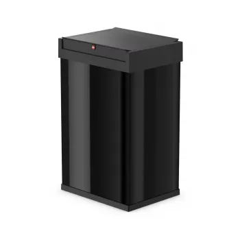 Taisnstūrveida tērauda atkritumu tvertne Hailo Big-Box Swing L