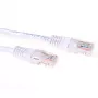 ACT Balts 1 metra U/UTP CAT6 komutācijas kabelis ar RJ45 savienotājiem