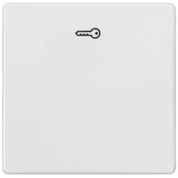 Siemens 5TG6208 sienas plāksne/slēdža vāciņš Daudzkrāsains