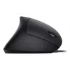 Equip 245118 pele Universāla Labās rokas USB Type-A Optiskā 3200 DPI