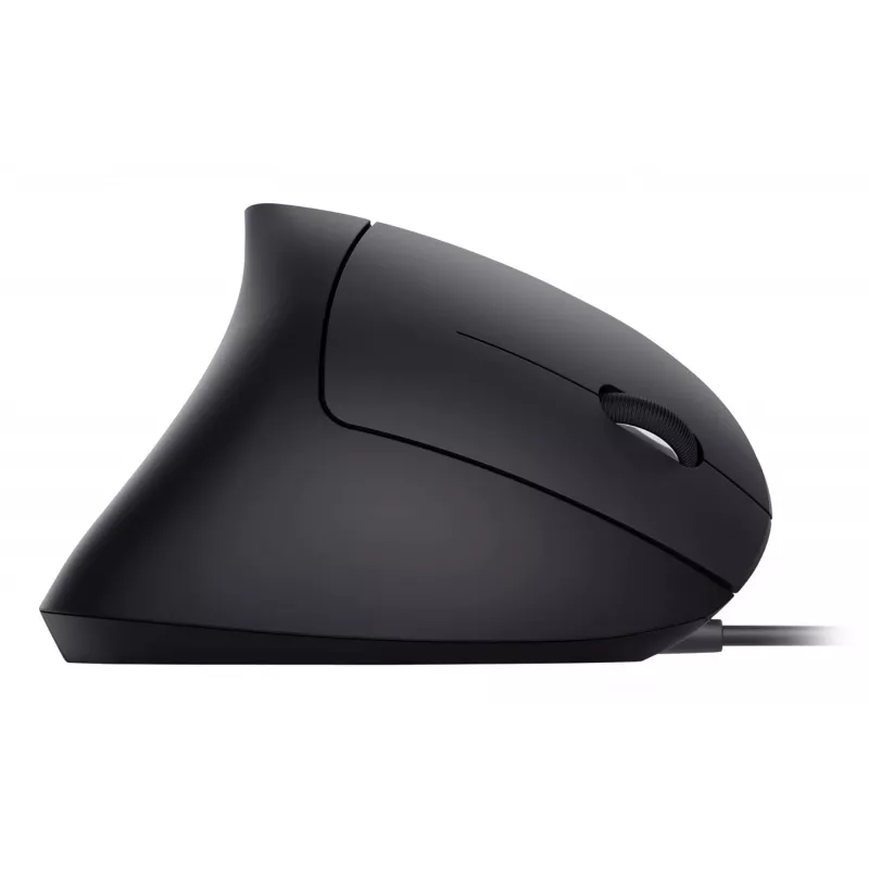 Equip 245118 pele Universāla Labās rokas USB Type-A Optiskā 3200 DPI