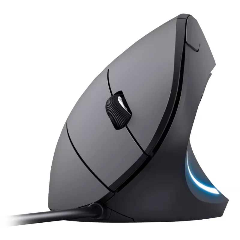 Equip 245118 pele Universāla Labās rokas USB Type-A Optiskā 3200 DPI