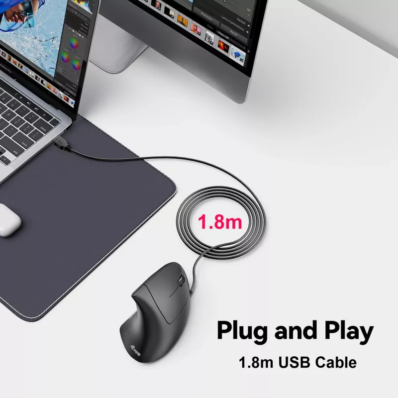 Equip 245118 pele Universāla Labās rokas USB Type-A Optiskā 3200 DPI